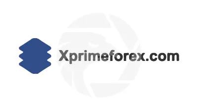 Overview of X PRIME FOREX