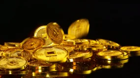 富格林：面对亏损懂得正规伎俩追回