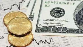 富格林：察觉黑幕运用正规技能防范