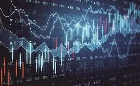 我怎样才能成为股票市场的专家?