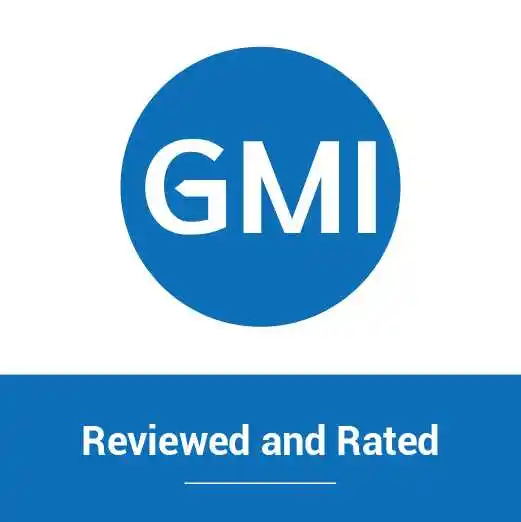 GMI Review