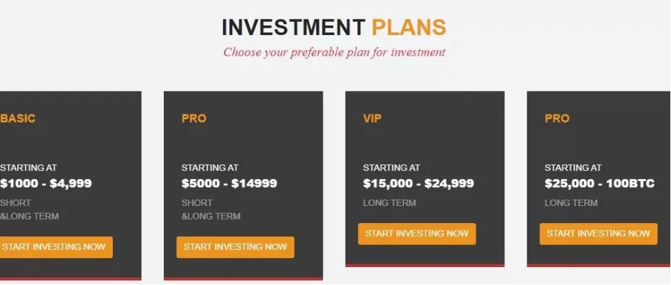 Investment Investment