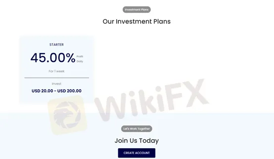 Investment Investment