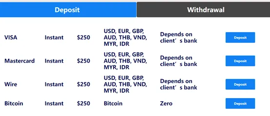 payment payment