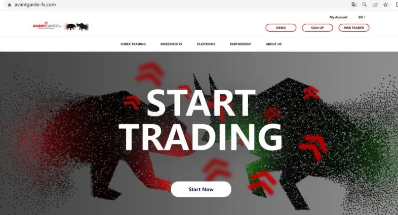 website website