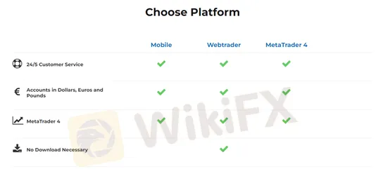 Platform Platform