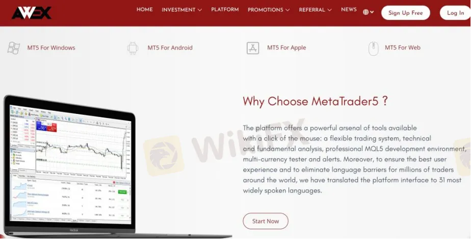 MT5