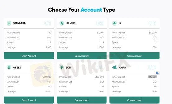  Account