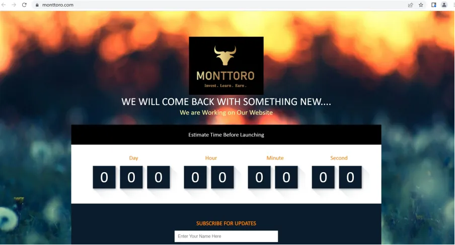 website website