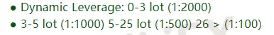 leverage 