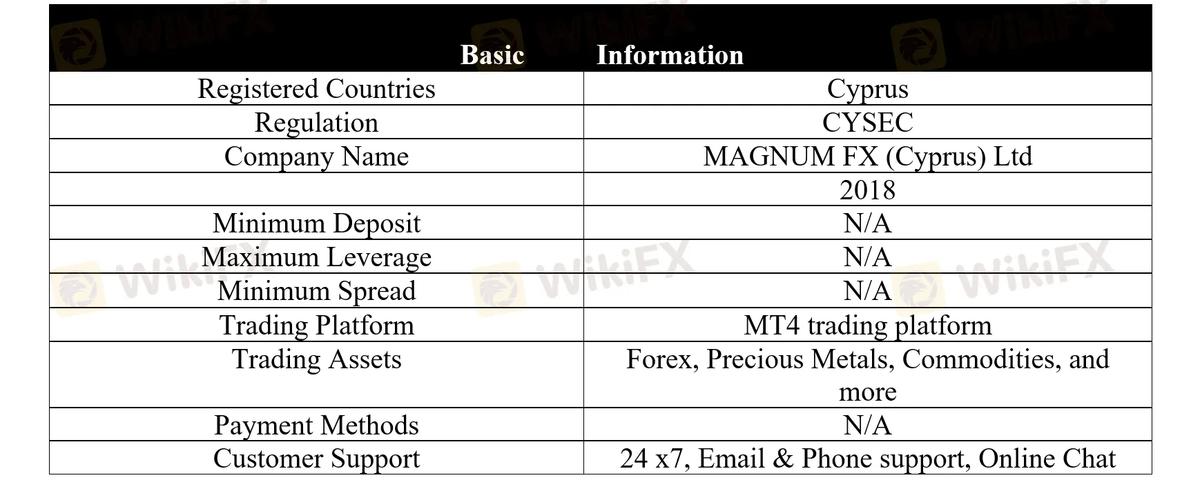 basic-info