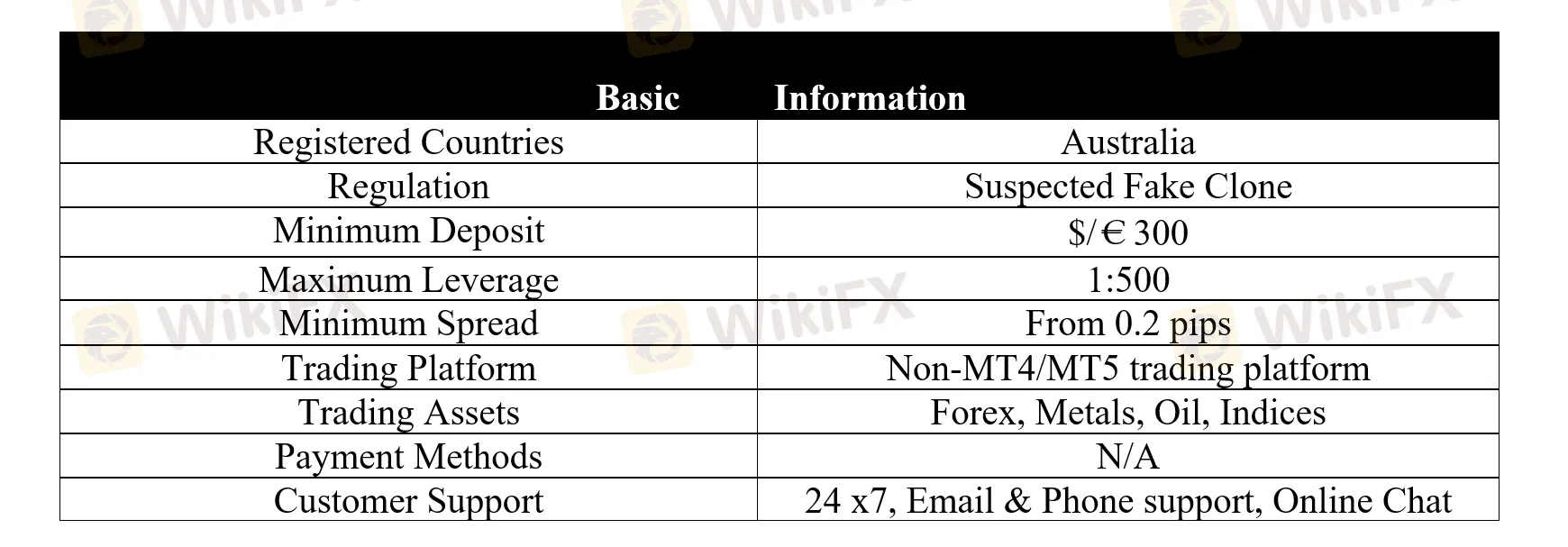 <b> </b> basic-info