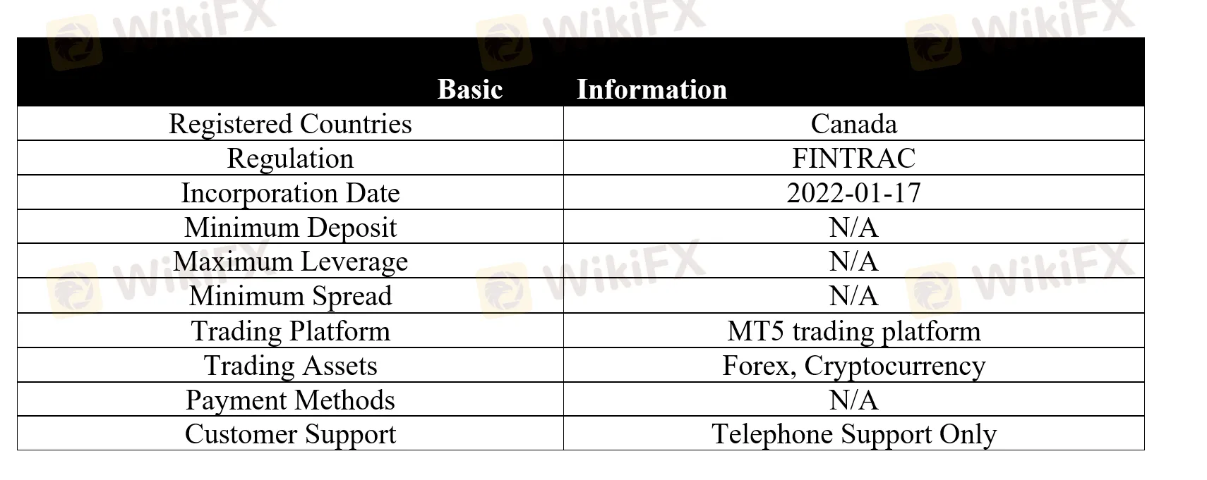 basic-info