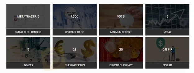 basic-info basic-info