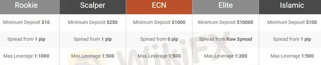 leverage 