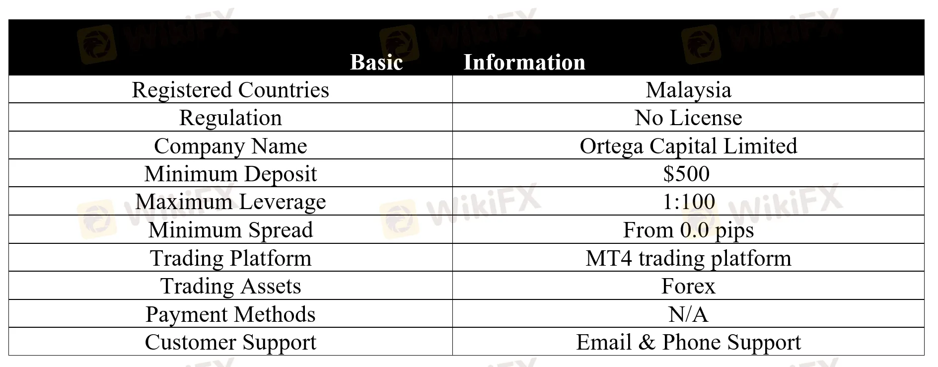 basic-info