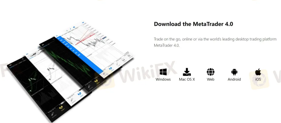 Trading Platform Available