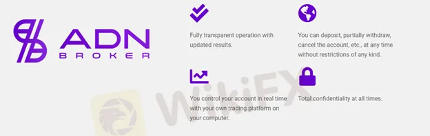 social -trading