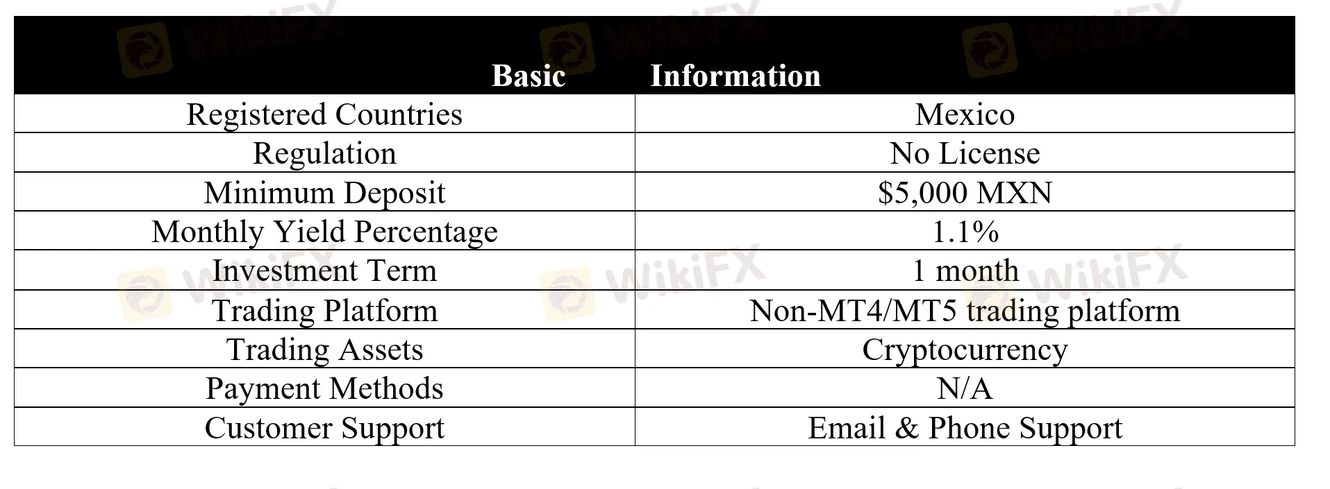 basic-info