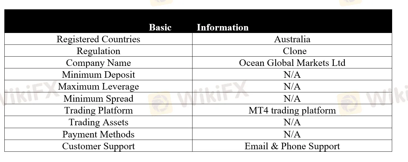 <strong> </strong> basic-info