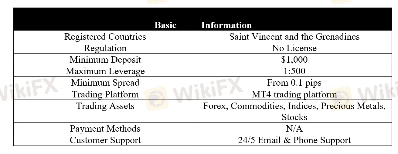 <strong> </strong> basic-info