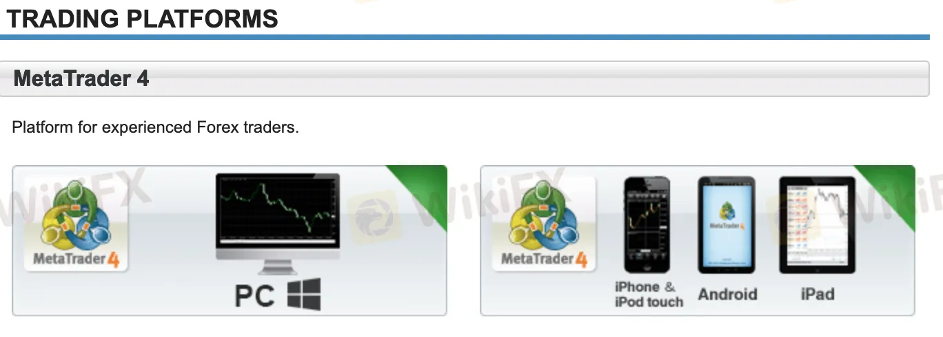 MT4 