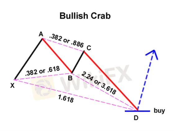 crab patte.png