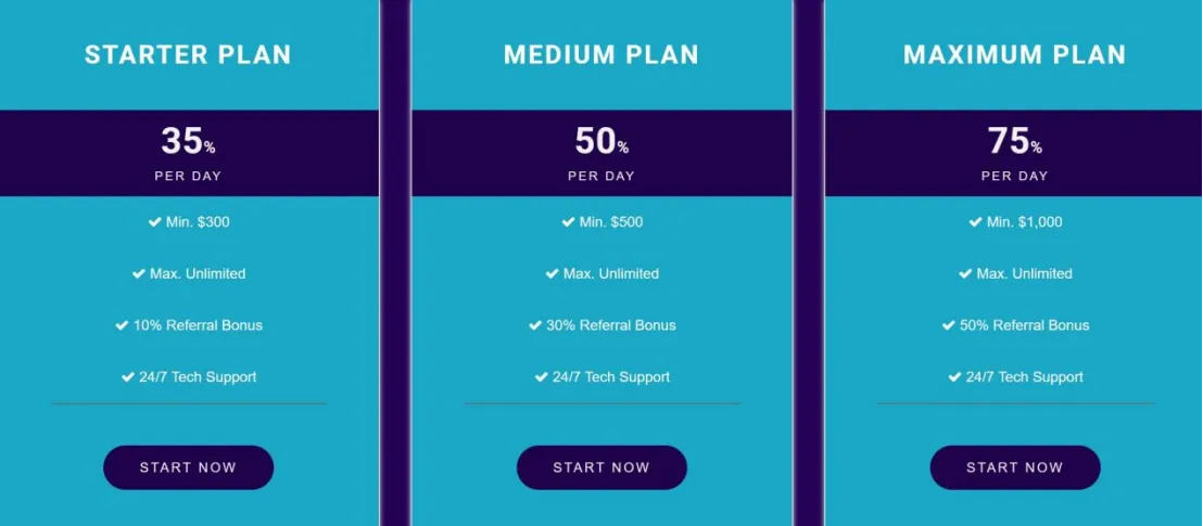 Investment Packages Investment Packages