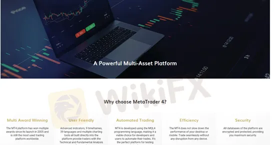 trading-platform 