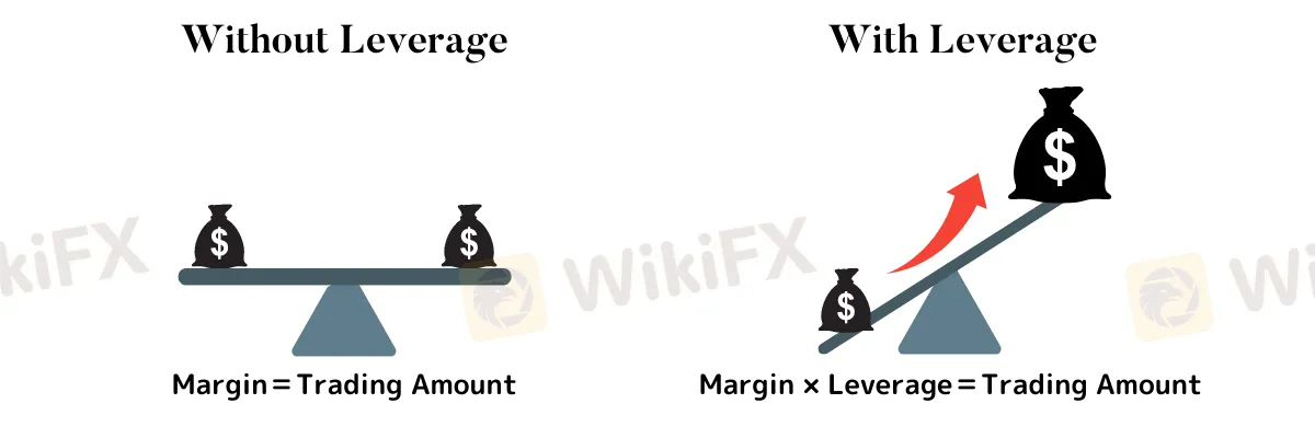 leverage 
