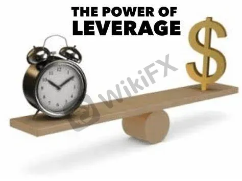 maximum leverage