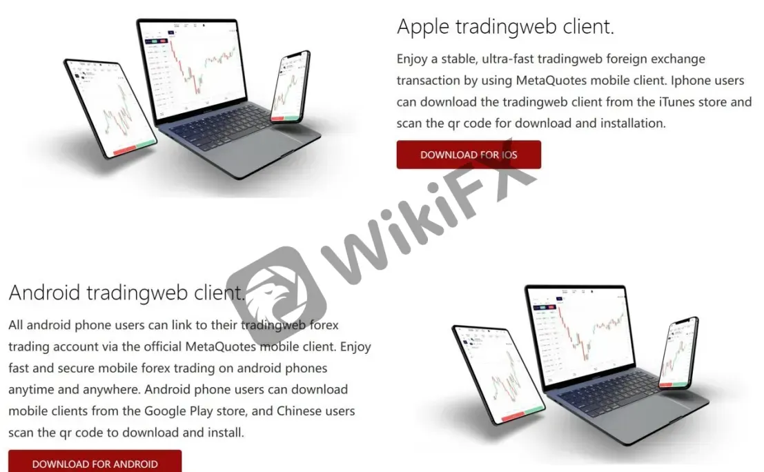 TradingWeb for Mobile