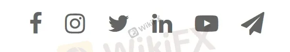 social media