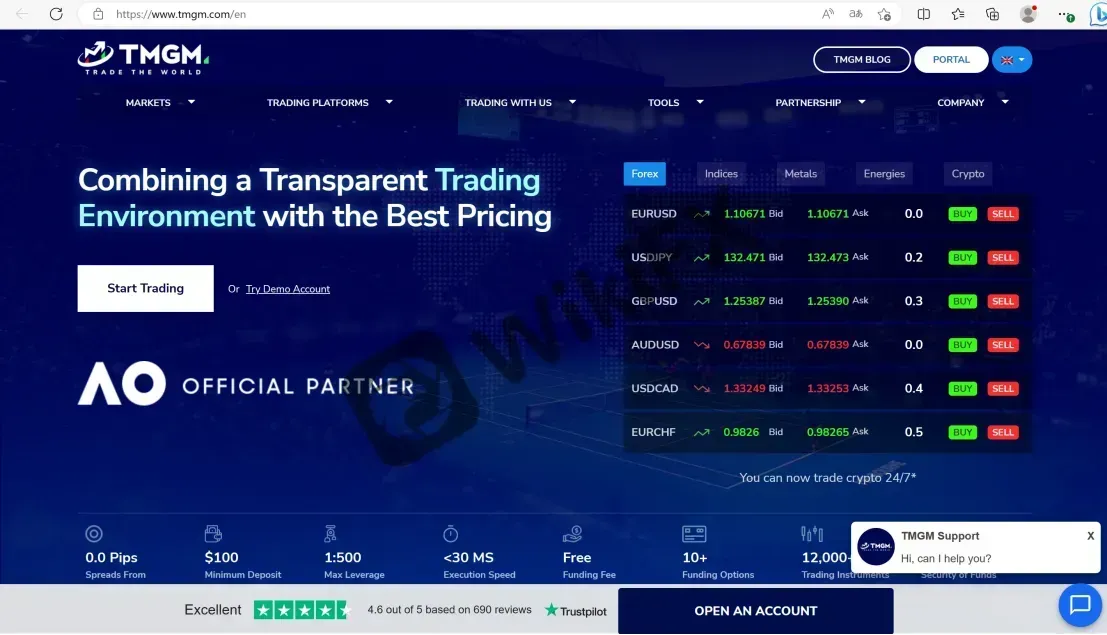 TMGM's website