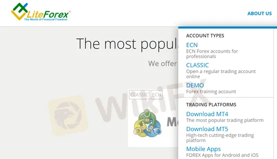 trading platform trading platform