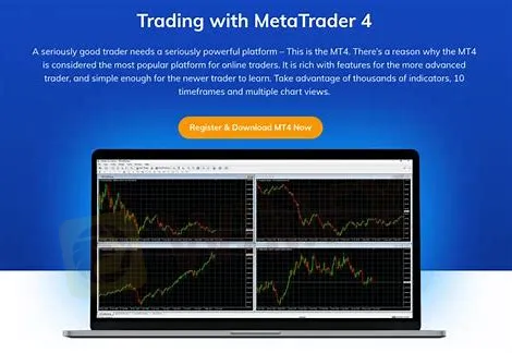 MT4
