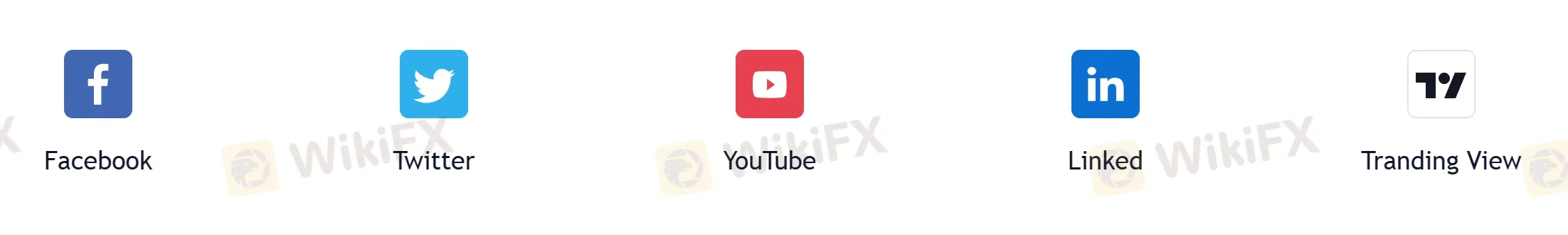 social networks social networks