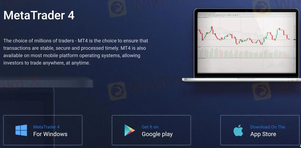 MT4