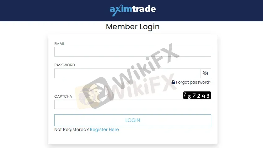 copy-trading copy-trading