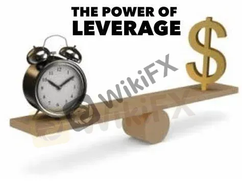 maximum leverage