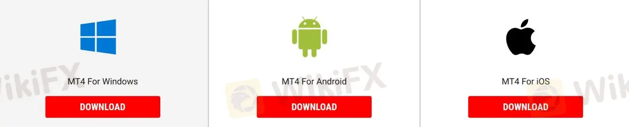 MT4 MT4