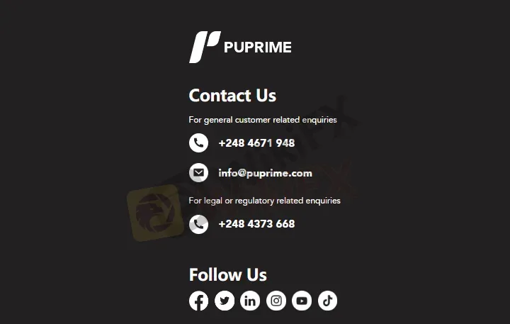 customer-support 