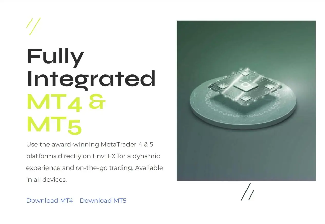 MT4 and MT5 MT4 and MT5