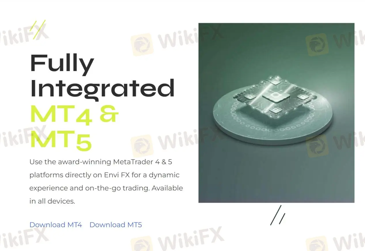 MT4 and MT5