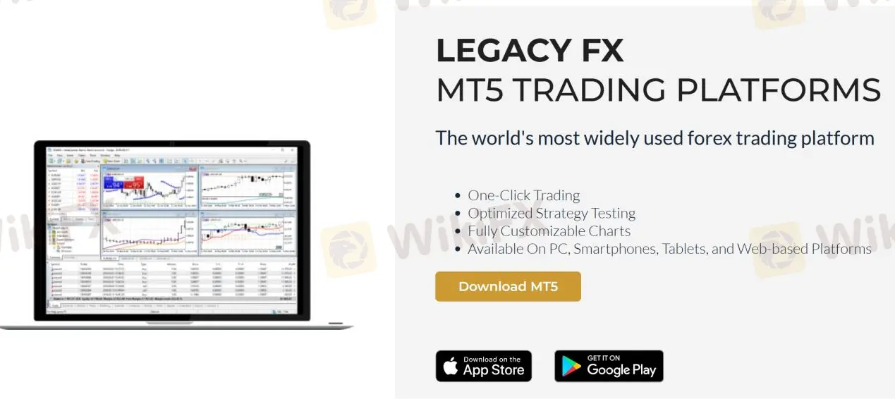MT5