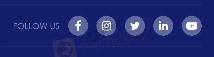 social networks social networks