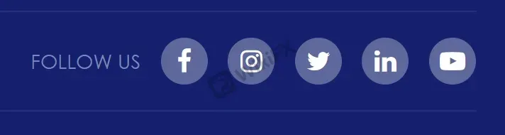 social networks