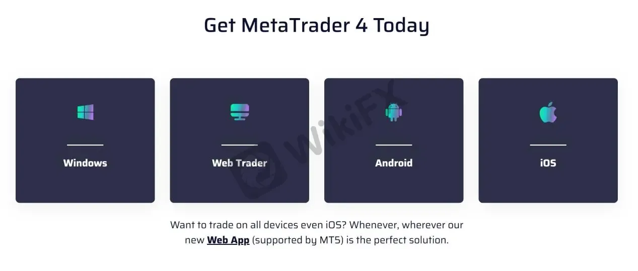 MT4
