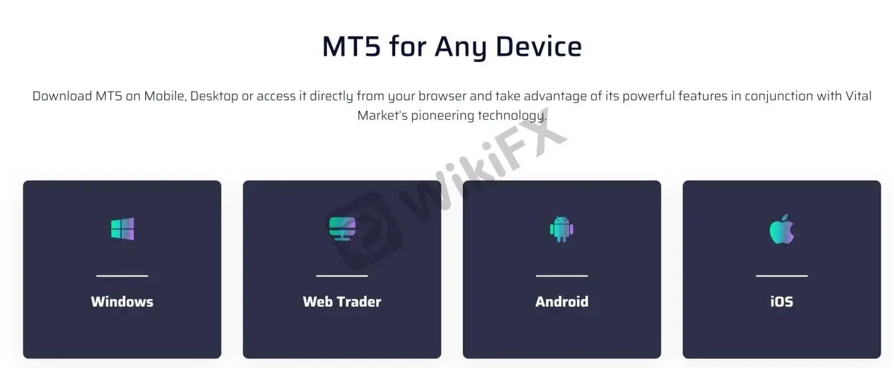MT5