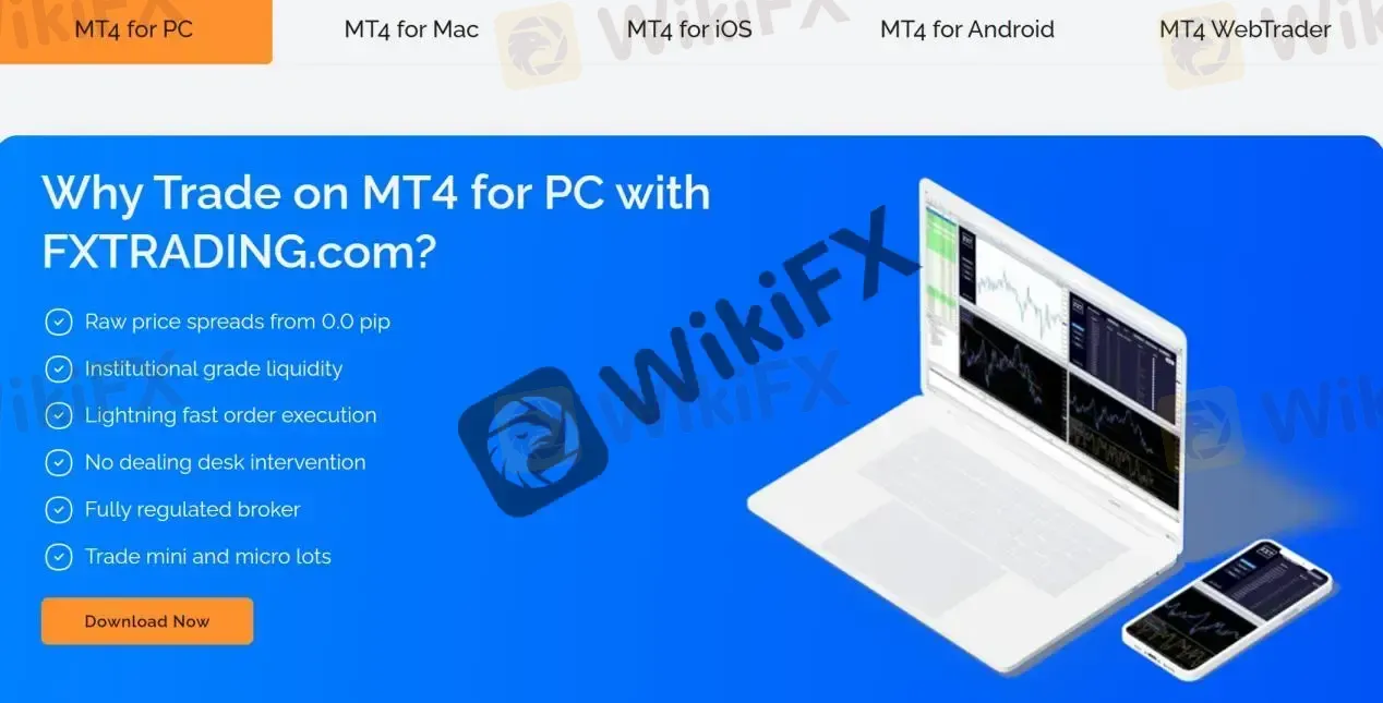 MT4